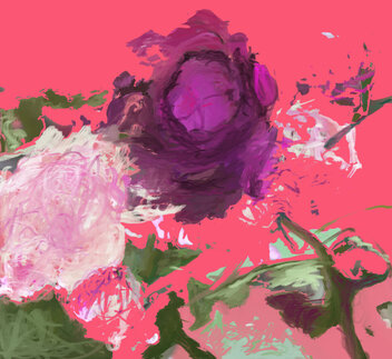 Rose im Winter